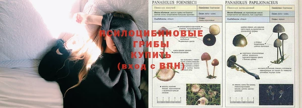 бутират Медвежьегорск
