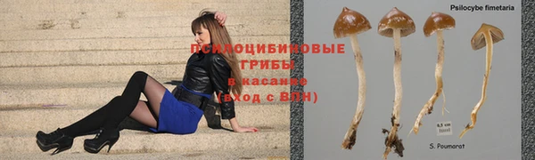 мяу мяу мука Болхов