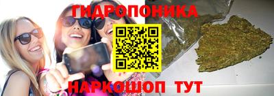 кокс Донецк