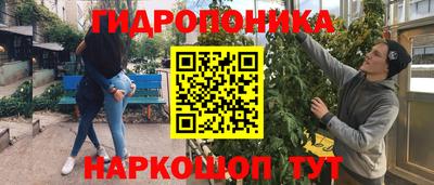 гашик Берёзовский