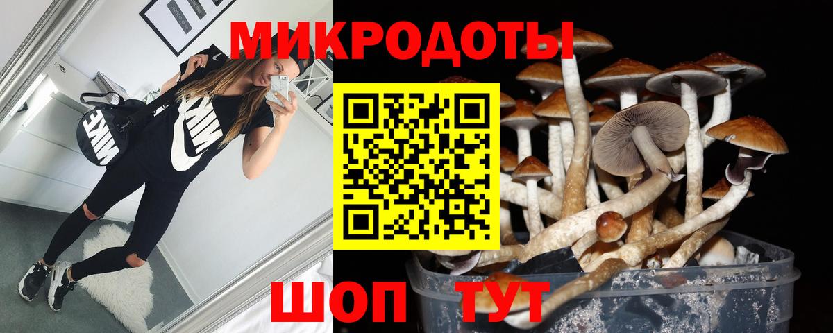 Галлюциногенные грибы мицелий  Галлюциногенные грибы прущие грибы  Тобольск 