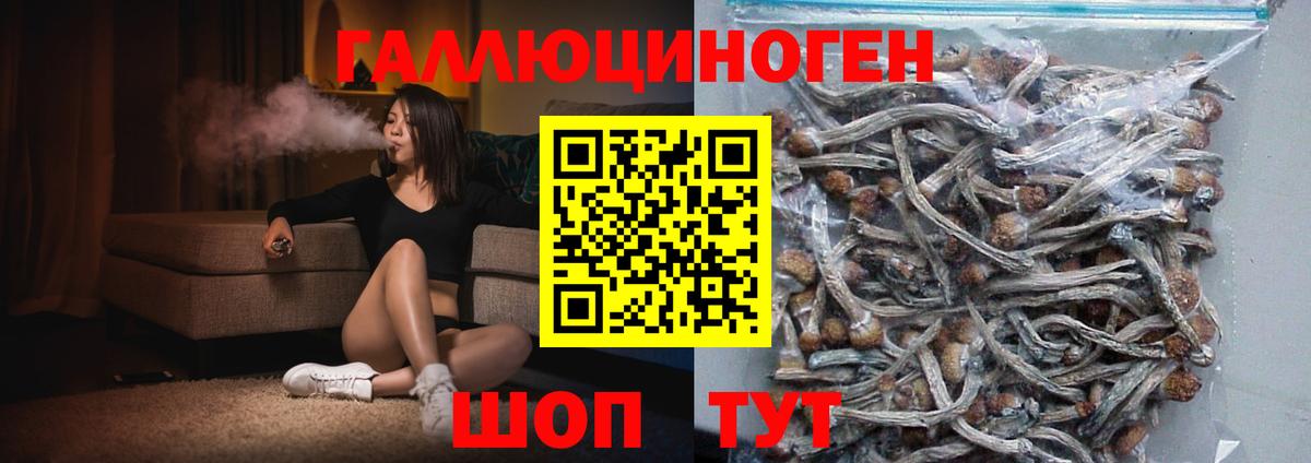 Тобольск  Галлюциногенные грибы GOLDEN TEACHER  Вход с VPN  Галлюциногенные грибы мухоморы 