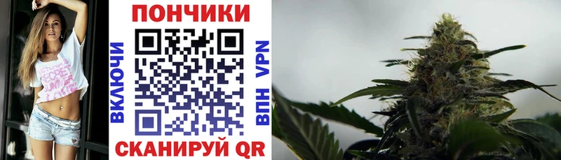 Бошки Шишки семена  блэк спрут как зайти  Тобольск  где купить наркоту 